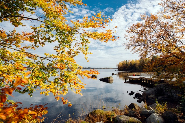 فصل الخريف يصل إلى السويد مبكرًا هذا العام في ظاهرة لم تحدث منذ 40 عامًا